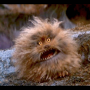 Fizzgig